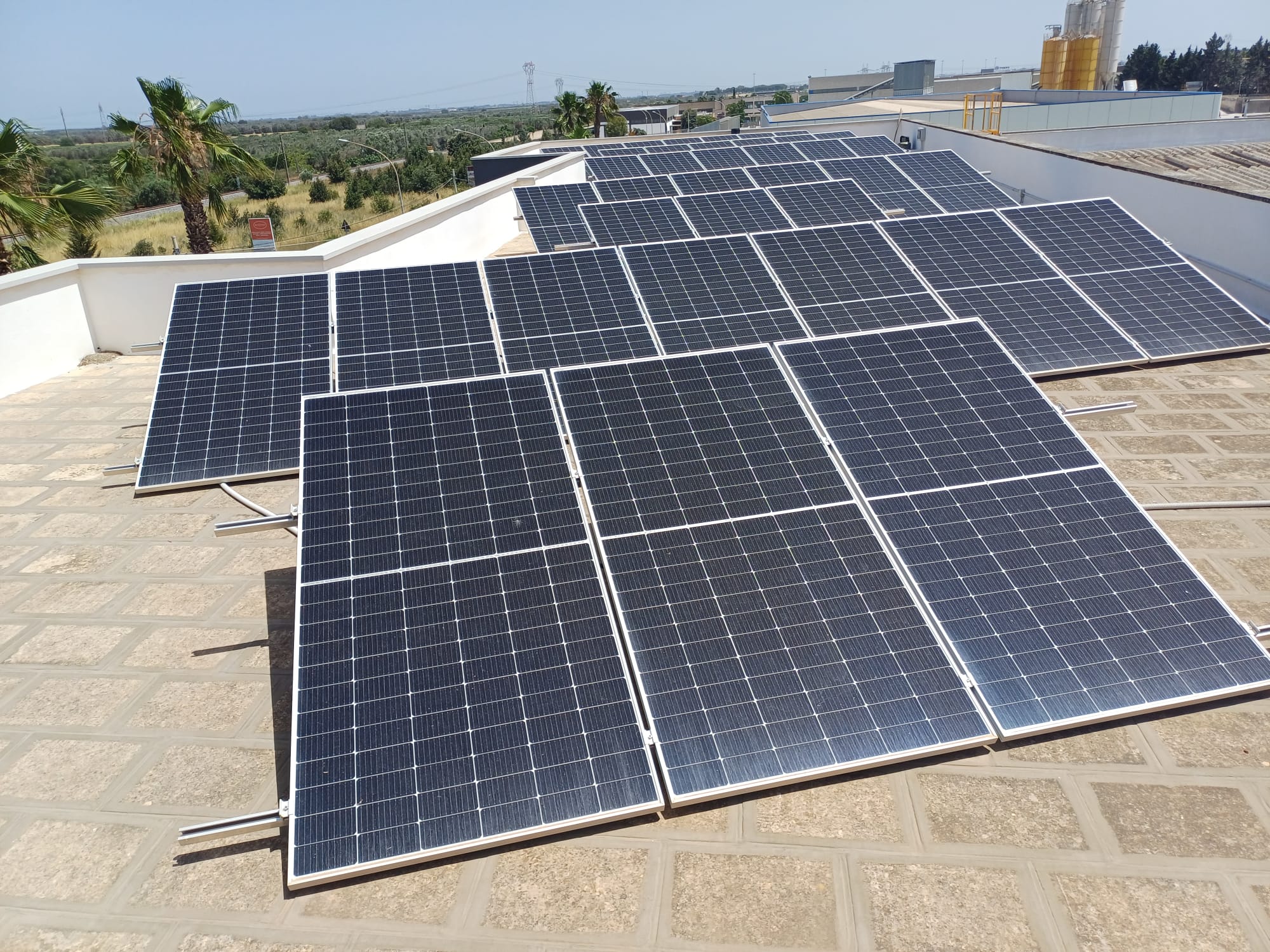 WhatsApp Image 2025-01-14 at 21.08.18 WhatsApp Image 2025-01-14 at 21.08.18